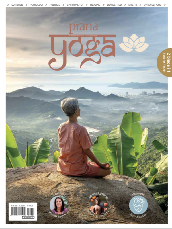 Prana Yoga nr.38